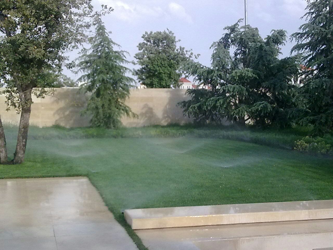 Lush lawn under irrigation